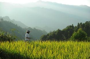 娱乐吃瓜酱拐进山里,拐进神秘山林探险记